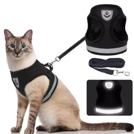 CozyCat Harness and Leash
