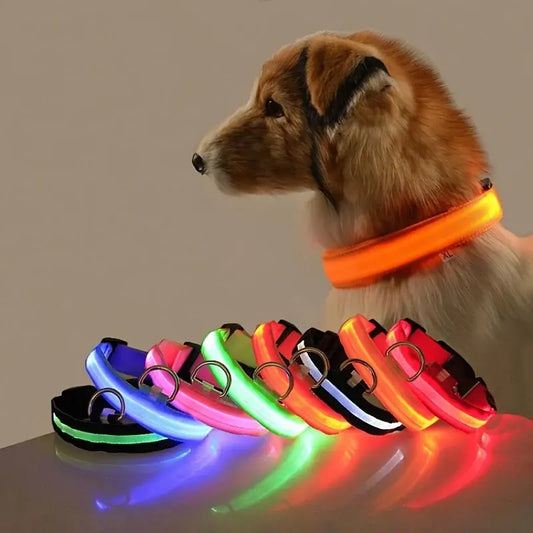 Flashing Glow Dog Collar